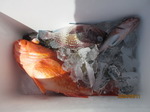 200811-2.jpg