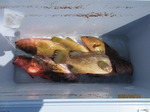 200814-3.jpg