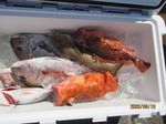 200819-2.jpg
