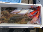200826-3.jpg