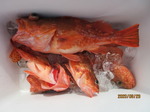 200829-2.jpg