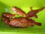 200829-4.jpg
