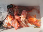 200829-8.jpg